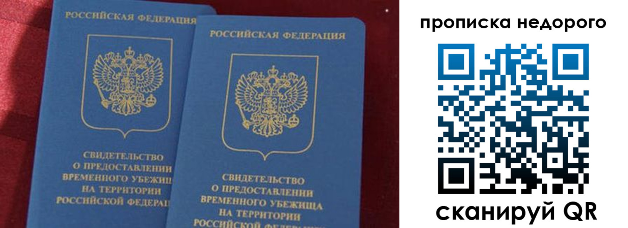 прописка гарантия в Юрьев-Польском